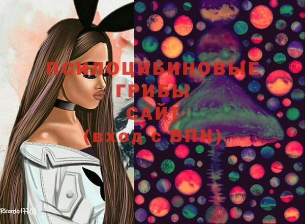 MDMA Медногорск
