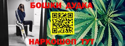сатива Дубна