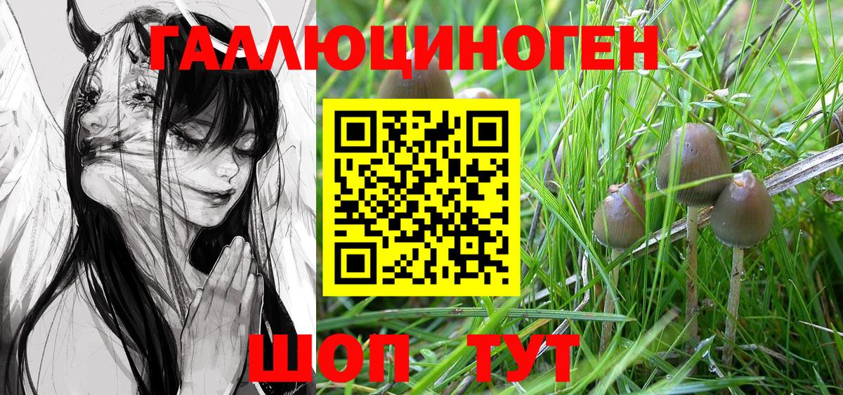Галлюциногенные грибы GOLDEN TEACHER Кимры
