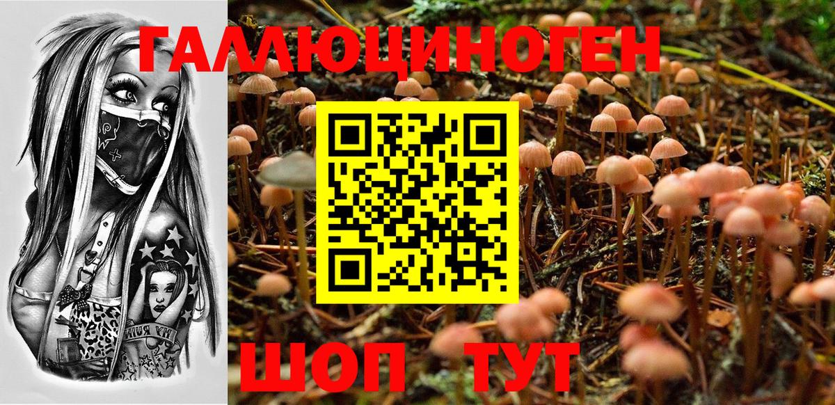 Галлюциногенные грибы Psilocybe  Вход с VPN  Кимры 